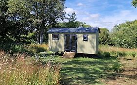 Apple Orchard Shepherd Huts
